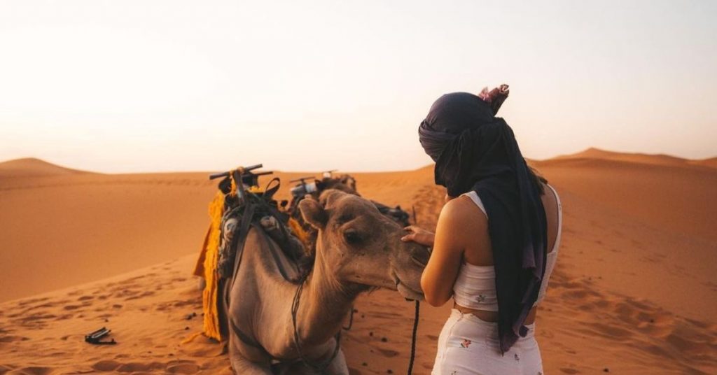 Typical Morocco