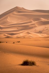 Best 10 Days Tour From Marrakech Around Morocco 2 Best 10 Days Tour From Marrakech Around Morocco