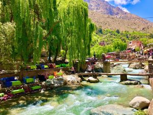 Exploring Ourika Valley: Unveiling the Charms of Morocco's Natural Beauty 2 Top Ourika Valley 1 Day Trip From Marrakech