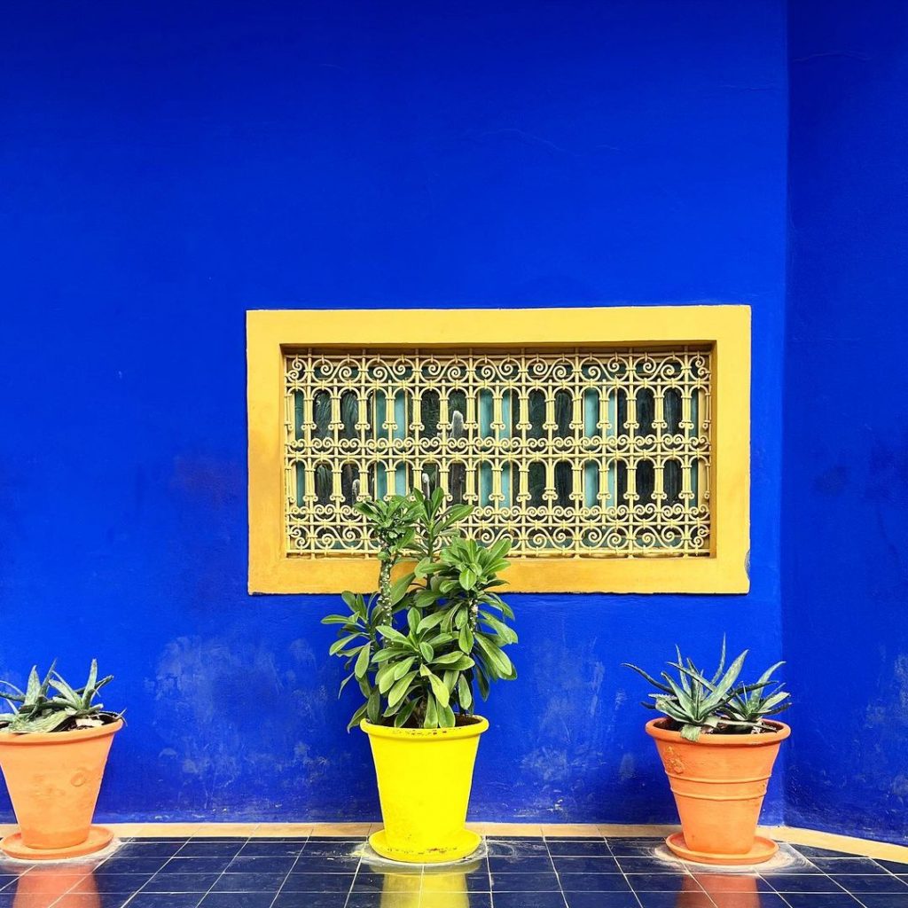 7 Must-visit attractions in Marrakech 2 Jardin Majorelle - 7 Must-visit attractions in Marrakech