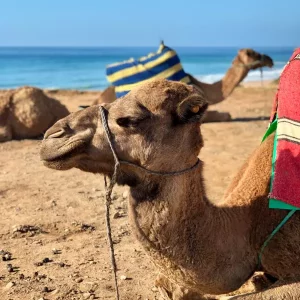 10 Tips About Morocco: Exploring the Rich Culture and Breathtaking Landscapes 1 10 Tips About Morocco: Exploring the Rich Culture and Breathtaking Landscapes