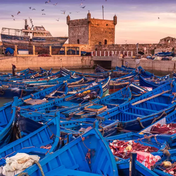 Essaouira Mogador Beauty of Morocco's Coastal Gem