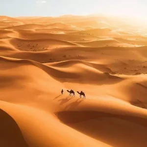 Discovering the Mystique of Morocco: Your Ultimate Travel Guide 2 Sahara Desert Merzouga: Discover the Enchanting Dunes of Morocco