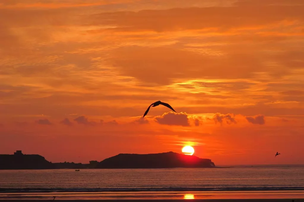 Essaouira Mogador Beauty of Morocco's Coastal Gem