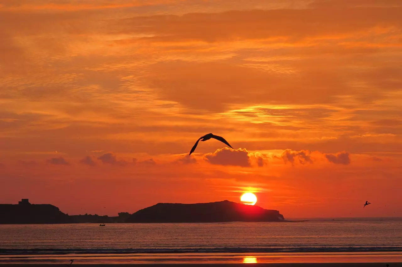 Essaouira Mogador Beauty of Morocco's Coastal Gem