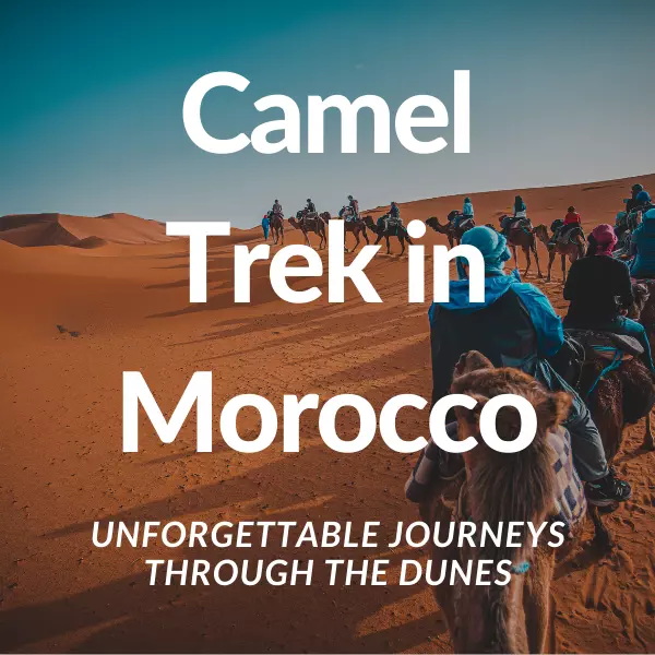 Camel Trek in Morocco