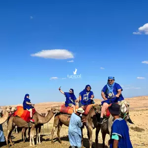 Camel Ride in Agafay Desert Marrakech