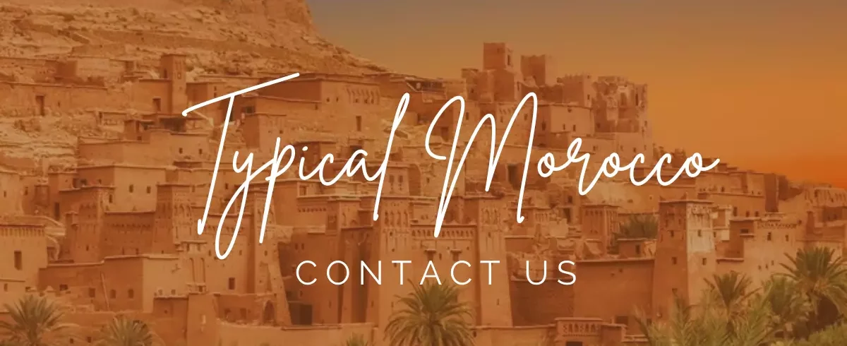 Typical Morocco, Contact us